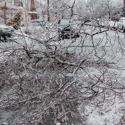 tree removal franklin tn ice storm debris removal services